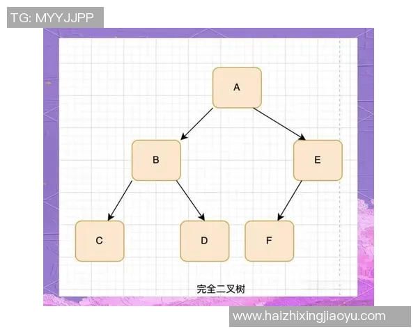 广州羽毛球队运营分析：成功经验与面临挑战的深度探讨