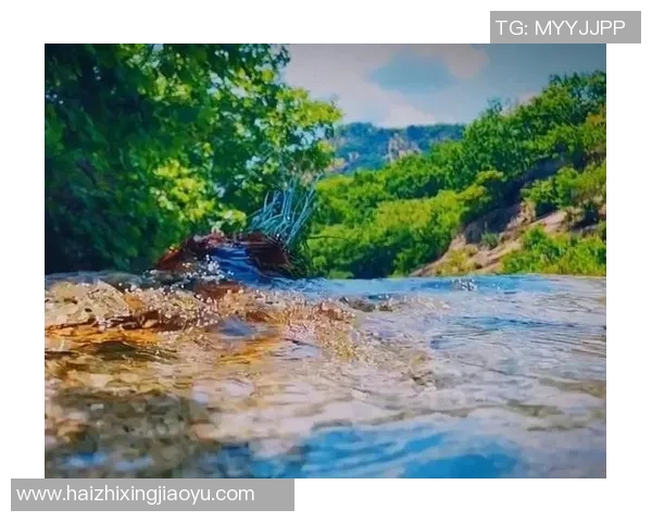 攀岩人生的高峰与低谷张强分享他的攀岩旅程与心路历程