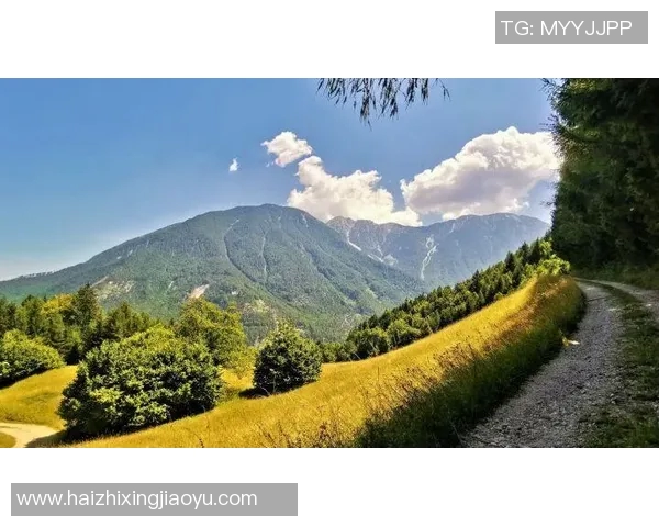 库尔德人勇战夫斯堡力争胜利展现顽强斗志与团队精神