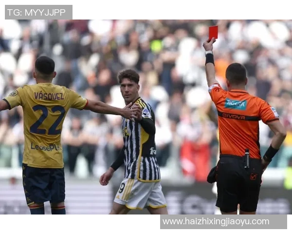 弗拉霍维奇：从天才前锋到足坛新星的成长之路与未来展望