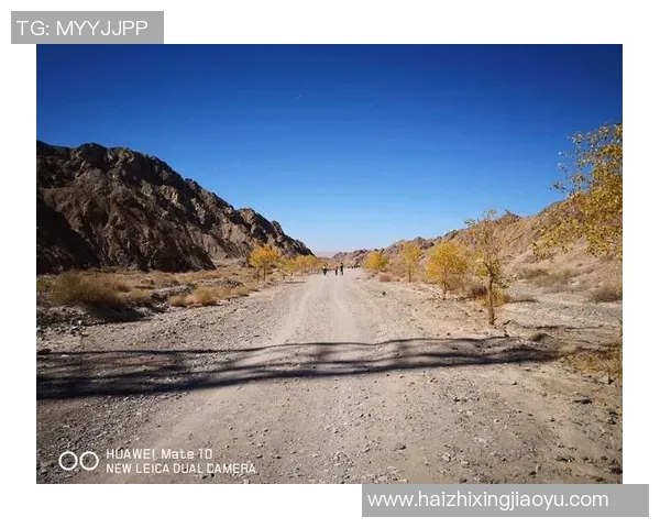 陈秀英的和平精英之路：从新手到职业选手的成长与挑战